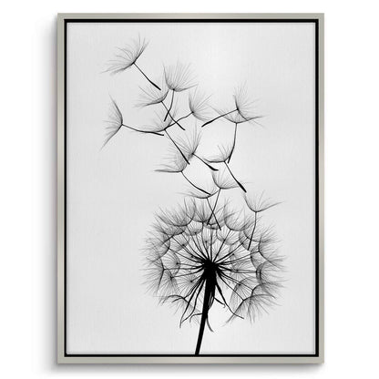Dandelion Fluff - Canvas