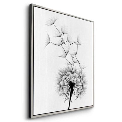 Dandelion Fluff - Canvas