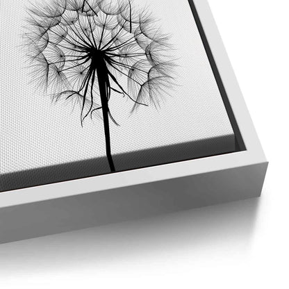 Dandelion Fluff - Canvas
