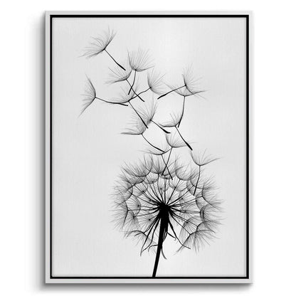 Dandelion Fluff - Canvas