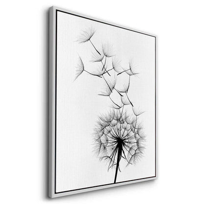 Dandelion Fluff - Canvas
