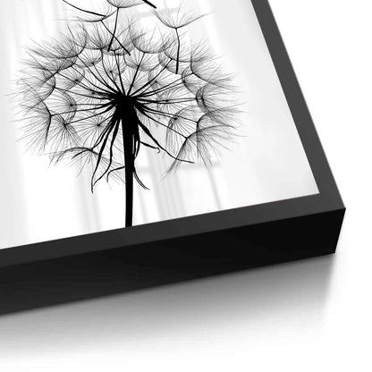 Dandelion Fluff - Fine Art