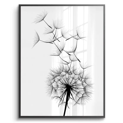 Dandelion Fluff - Fine Art