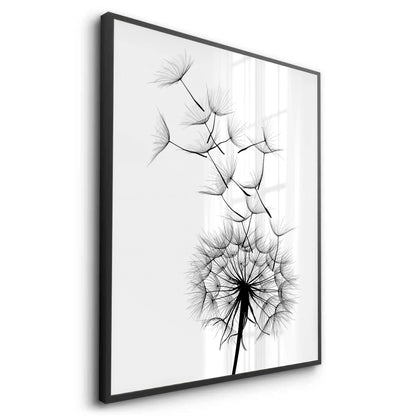 Dandelion Fluff - Fine Art