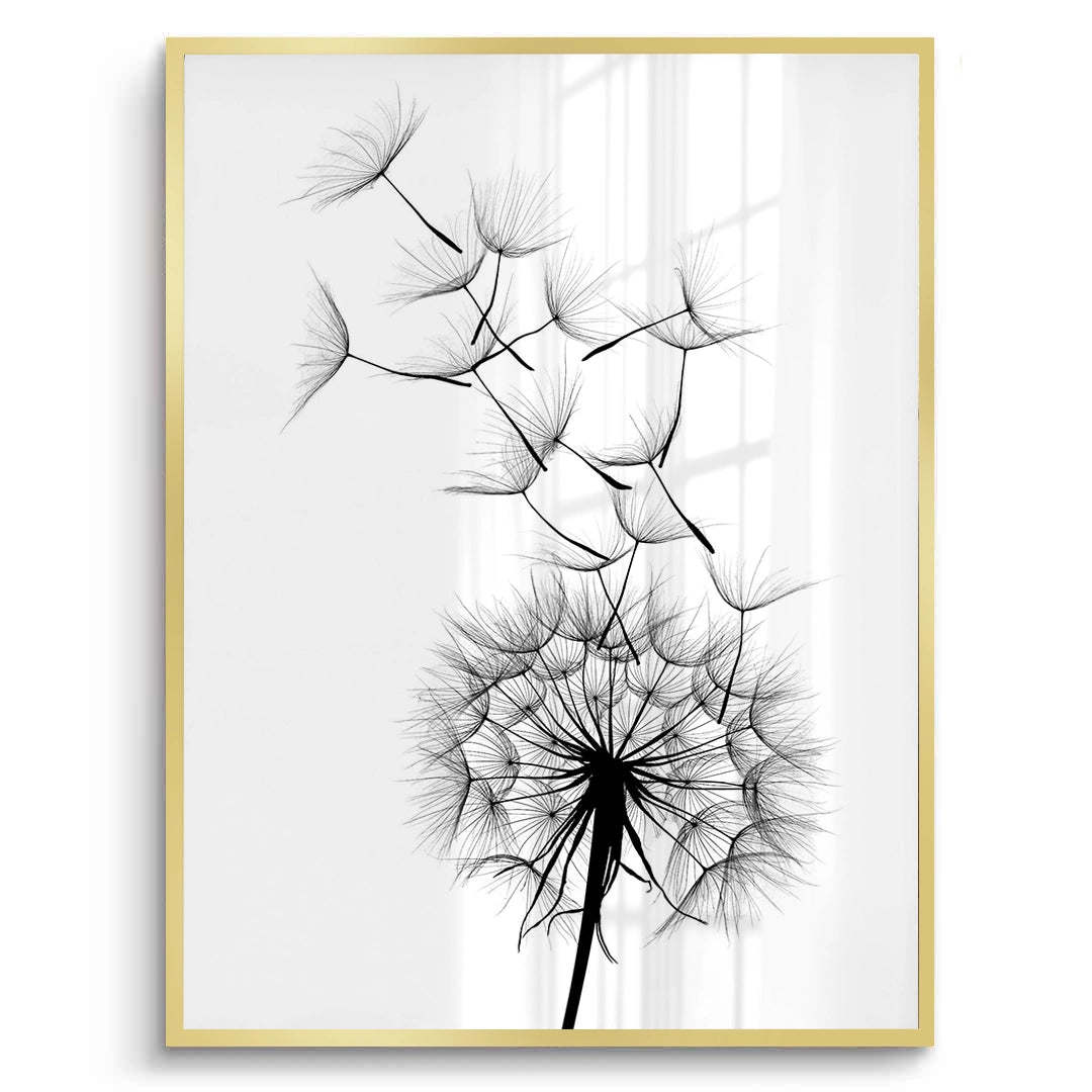 2Dandelion Fluff - Fine Art