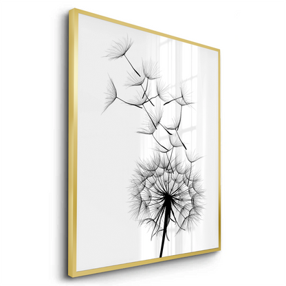 Dandelion Fluff - Fine Art