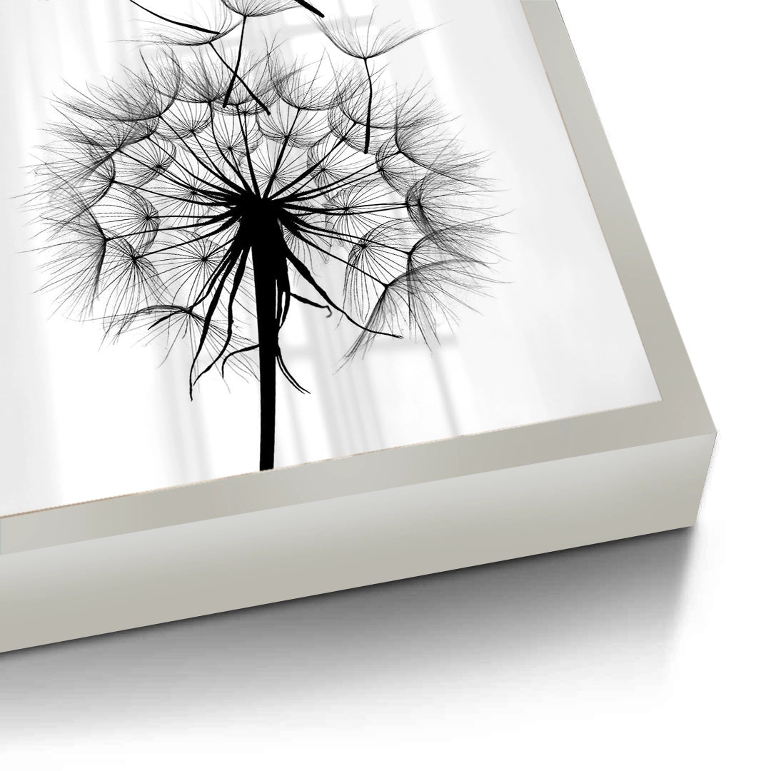 2Dandelion Fluff - Fine Art