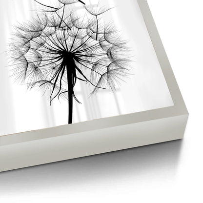 Dandelion Fluff - Fine Art