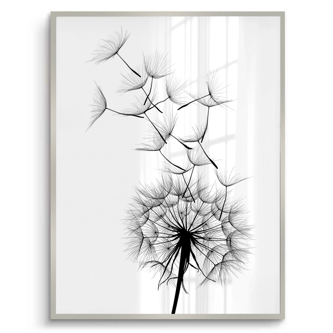 2Dandelion Fluff - Fine Art