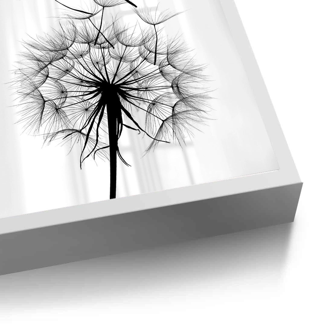 2Dandelion Fluff - Fine Art