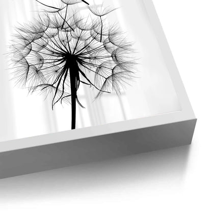 Dandelion Fluff - Fine Art