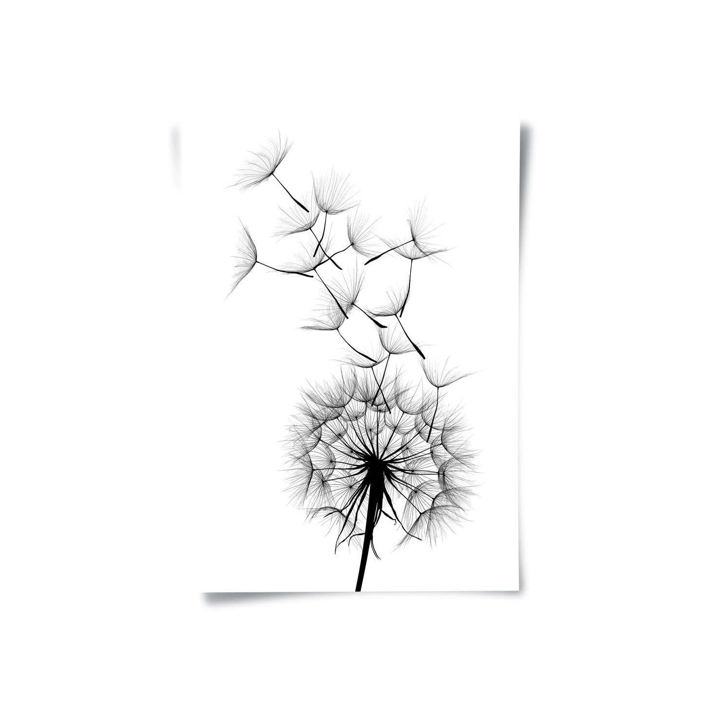 2Dandelion Fluff - Poster