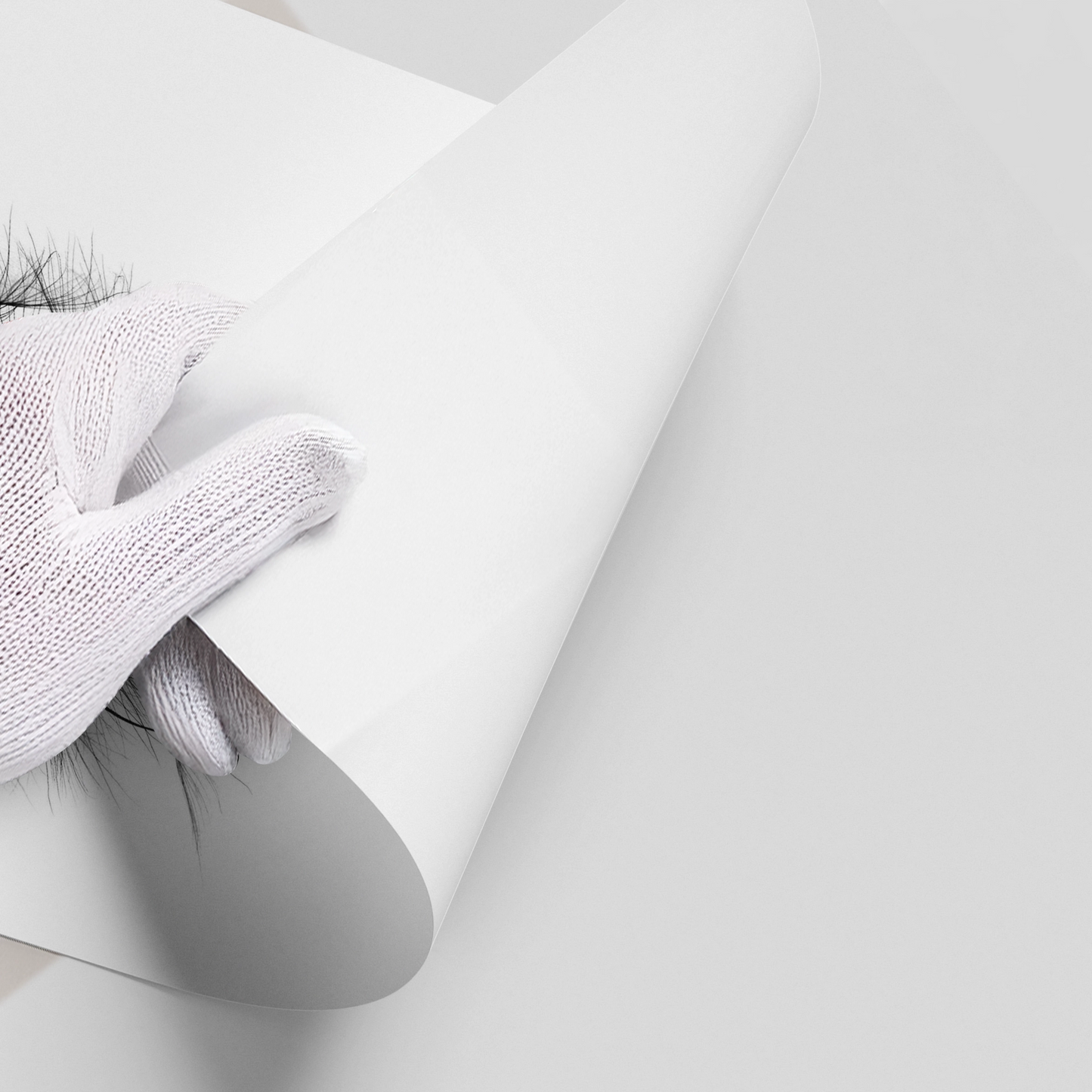 2Dandelion Fluff - Poster