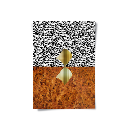 Dichotomy Series - Poster