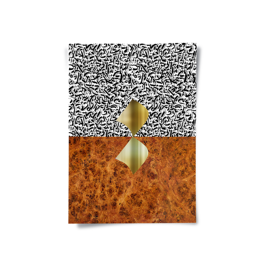 Dichotomy Series - Poster