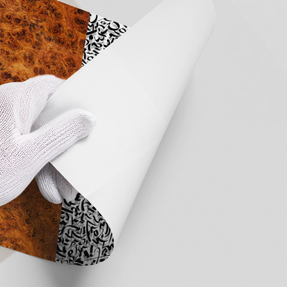 Dichotomy Series - Poster