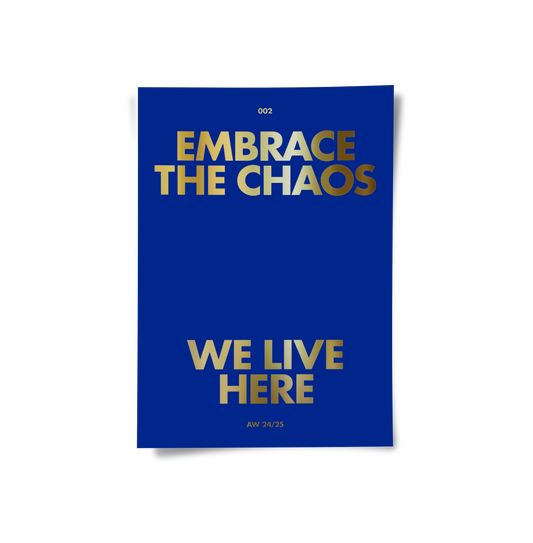Embrace The Chaos - Poster