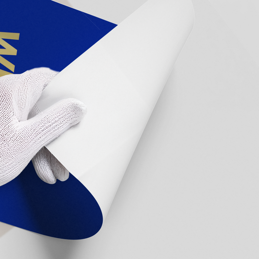 Embrace The Chaos - Poster