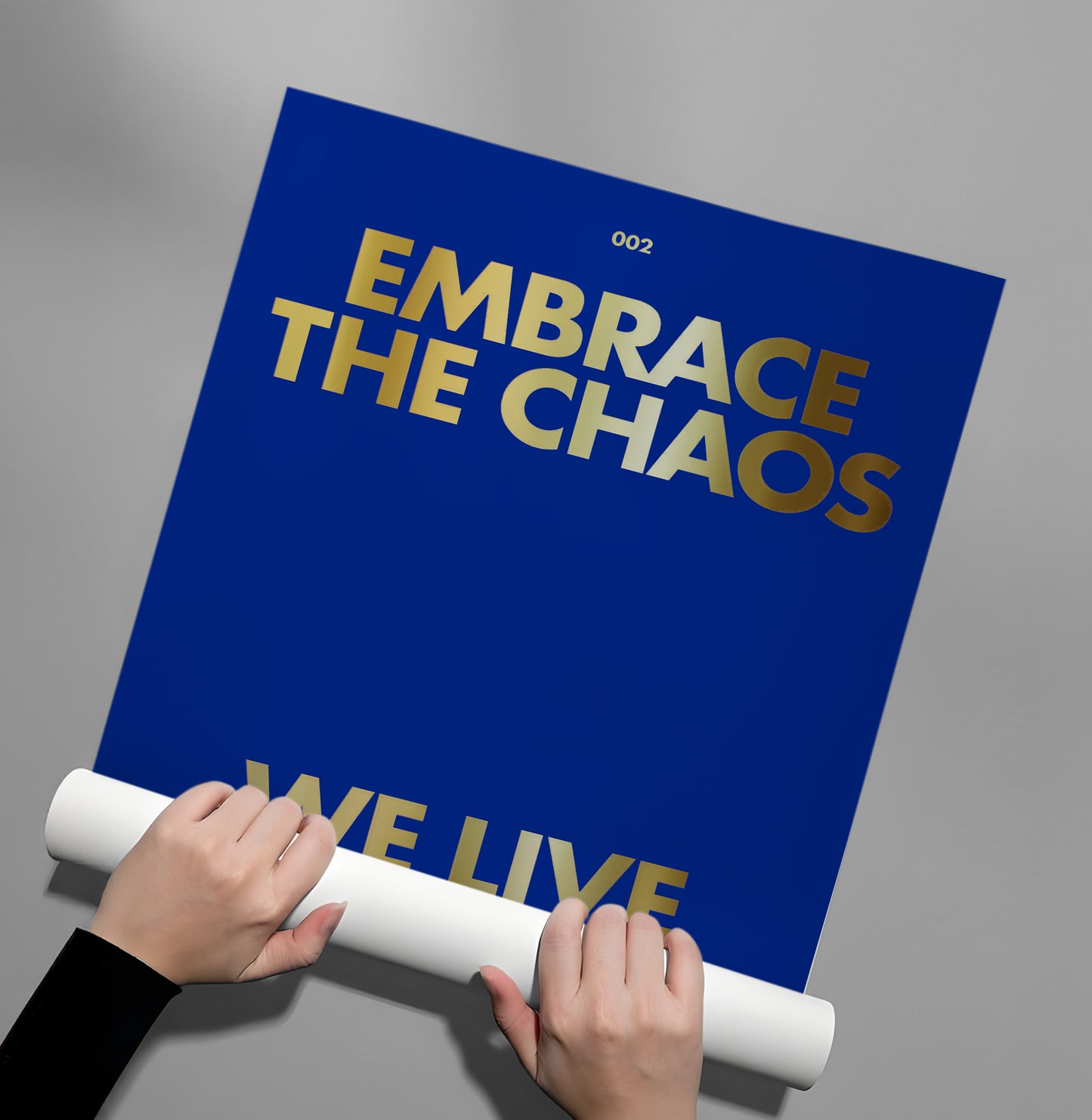 2Embrace The Chaos - Poster