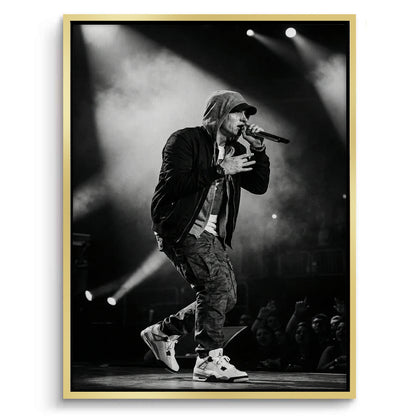 Eminem Live in Concert - Canvas