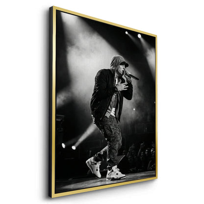 Eminem Live in Concert - Canvas