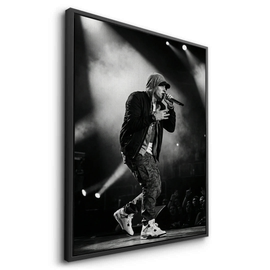 2Eminem Live in Concert - Canvas