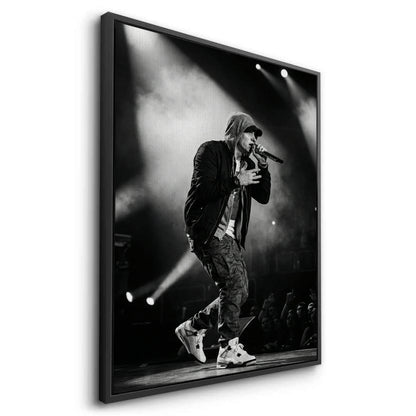 Eminem Live in Concert - Canvas