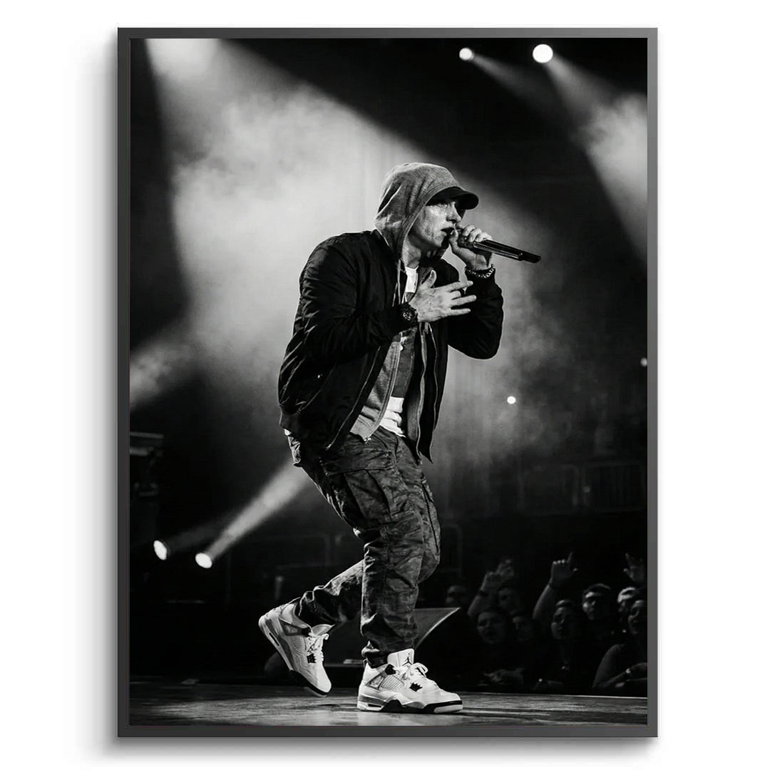 2Eminem Live in Concert - Fine Art