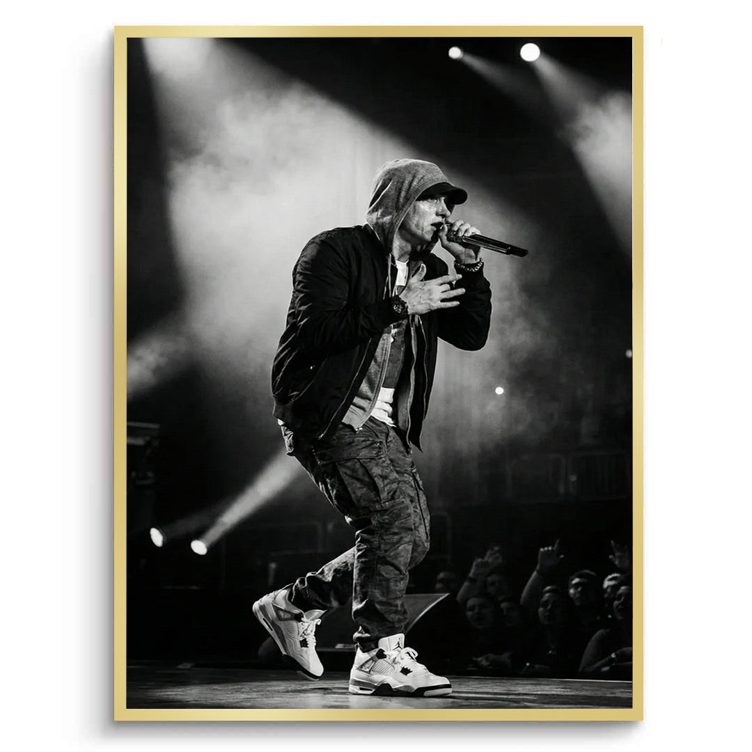 2Eminem Live in Concert - Fine Art