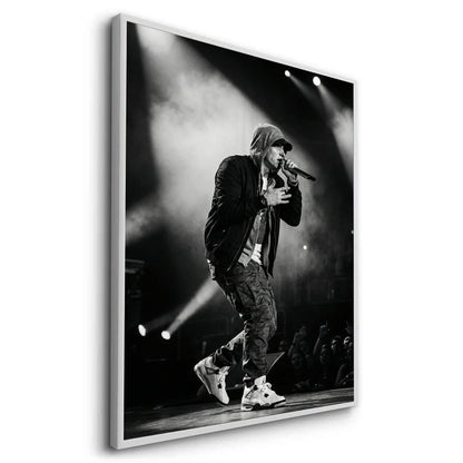 Eminem Live in Concert - Fine Art
