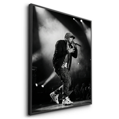 Eminem Live in Concert - Fine Art