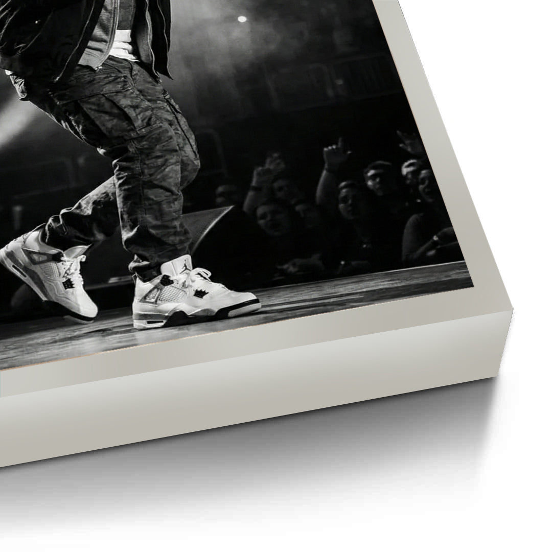 2Eminem Live in Concert - Fine Art