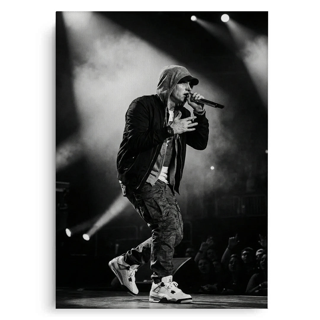 2Eminem Live in Concert - Canvas