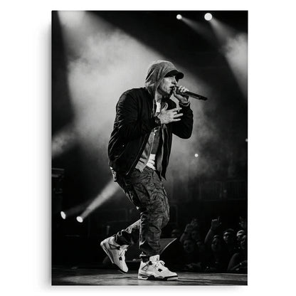 Eminem Live in Concert - Canvas