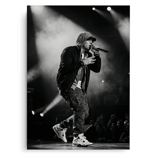 Eminem Live in Concert - Canvas