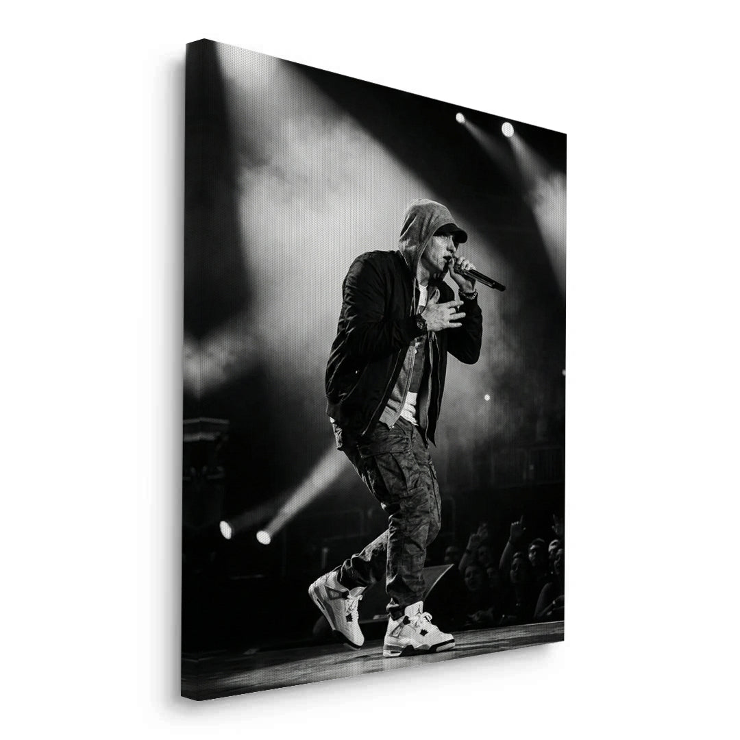 2Eminem Live in Concert - Canvas