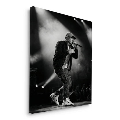 Eminem Live in Concert - Canvas
