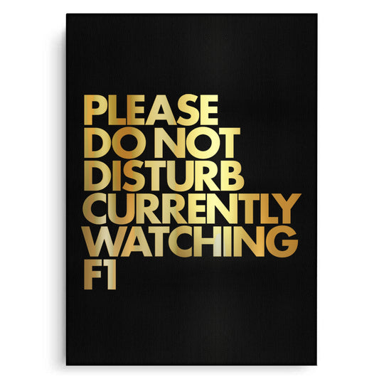 Fan Do Not Disturb - Canvas