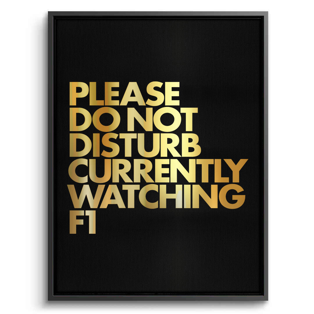 2Fan Do Not Disturb - Canvas