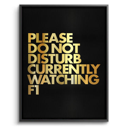 Fan Do Not Disturb - Canvas