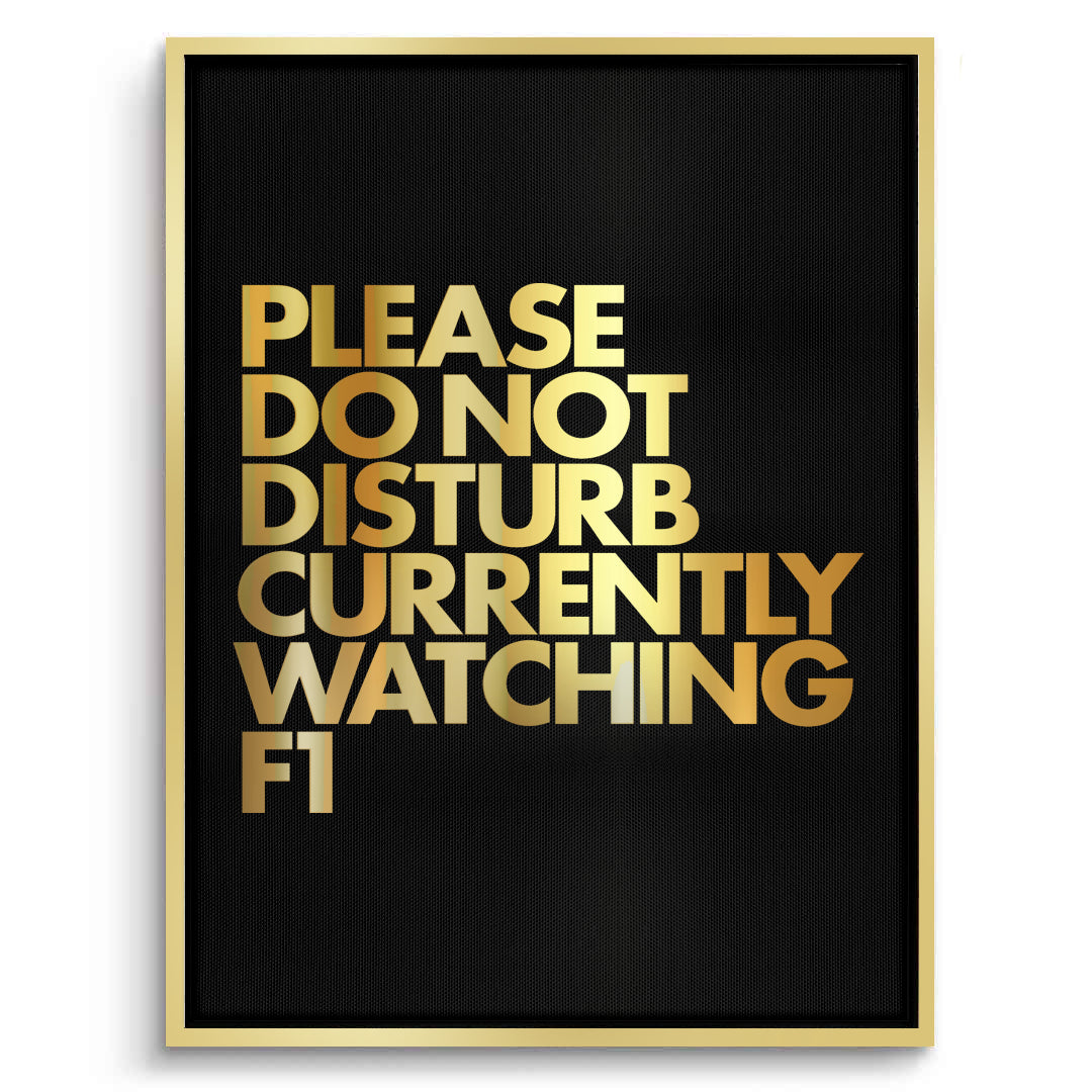 2Fan Do Not Disturb - Canvas