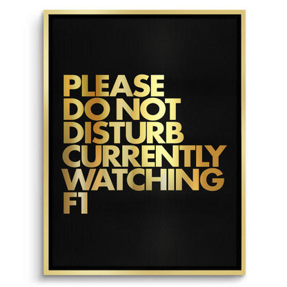Fan Do Not Disturb - Canvas