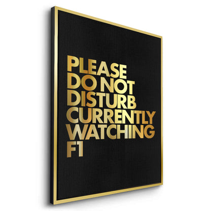 Fan Do Not Disturb - Canvas