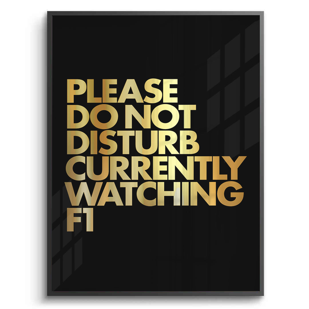 2Fan Do Not Disturb - Fine Art