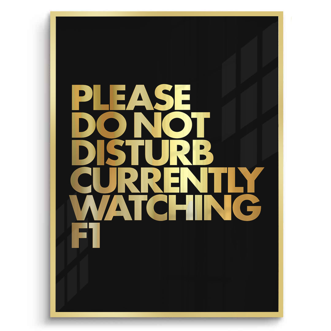 2Fan Do Not Disturb - Fine Art