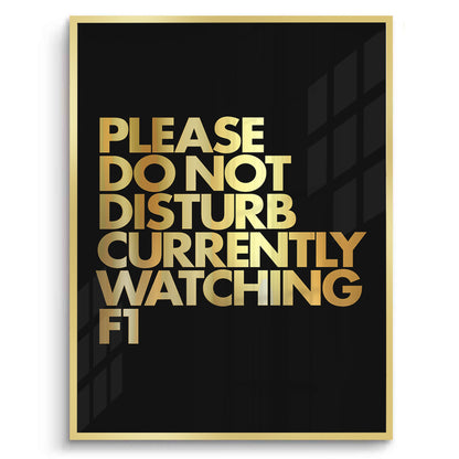 Fan Do Not Disturb - Fine Art