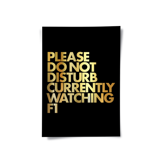 Fan Do Not Disturb - Poster