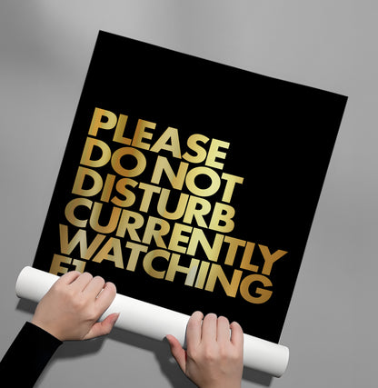 Fan Do Not Disturb - Poster