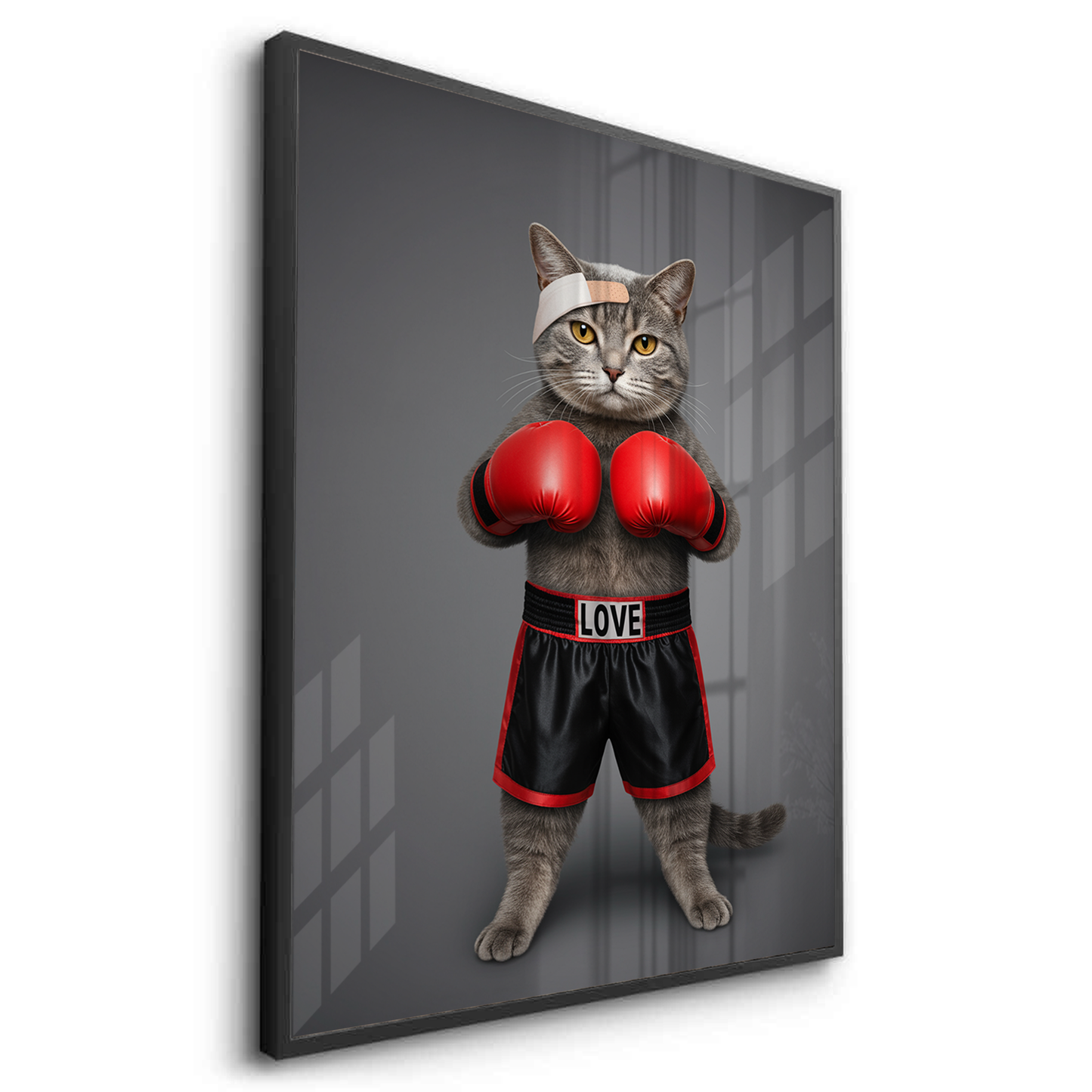 2Fight for Love Black Frame Canvas Art Cat in boxing gear with 'LOVE' on shorts against a dark background