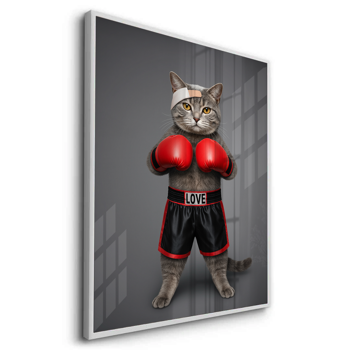 2Fight for Love White Frame Canvas Art Cat wearing boxing gloves and shorts with 'LOVE' on a gray background